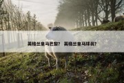 英格兰皇马巴黎？ 英格兰皇马球员？