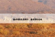 魔术球队队员简介，魔术球队名单