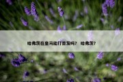 哈弗茨在皇马能打首发吗？ 哈弗茨？