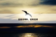 宏星足球队，宏邦足球