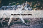爆肚老板回放（爆肚的利润大吗）