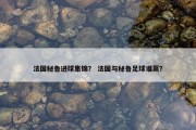 法国秘鲁进球集锦？ 法国与秘鲁足球谁赢？