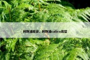 利物浦房源，利物浦calico房型