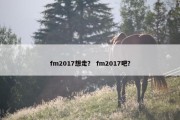 fm2017想走？ fm2017吧？