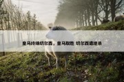 皇马终场切尔西，皇马取胜 切尔西遭绝杀