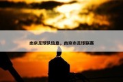 南京足球队信息，南京市足球联赛