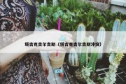 塔吉克吉尔吉斯（塔吉克吉尔吉斯冲突）