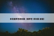 申花德罗巴切尔西（德罗巴 切尔西 欧冠）