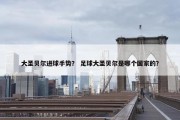 大圣贝尔进球手势？ 足球大圣贝尔是哪个国家的？