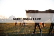哈哈赛程？ 哈哈哈哈哈电竞比赛？