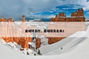 曼城球员杆，曼城球员名单2