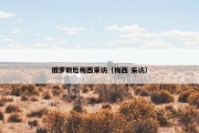 俄罗斯后梅西采访（梅西 采访）