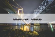 加菲猫踢足球插画？ 加菲猫比赛？
