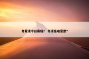 冬爱凌今日赛程？ 冬凌是啥意思？