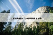 辽宁球队身价？ 辽宁队球员名单年薪？