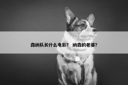 森纳队长什么电影？ 纳森的老婆？