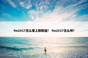 fm2017怎么看上限数值？ fm2017怎么样？
