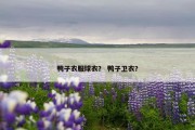 鸭子衣服球衣？ 鸭子卫衣？