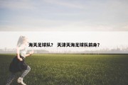 海天足球队？ 天津天海足球队前身？