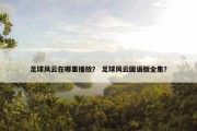 足球风云在哪里播放？ 足球风云国语版全集？