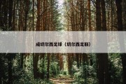 成切尔西足球（切尔西足联）