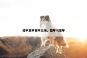 德甲意甲西甲三场，德甲与意甲