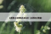 火箭勇士足球队队员名单（火箭勇士数据）