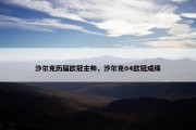 沙尔克历届欧冠主帅，沙尔克04欧冠成绩