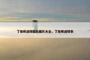 丁俊晖进球尴尬图片大全，丁俊晖进球率