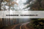 你还有森纳吗英语？ 你还有森纳吗英语怎么写？
