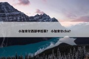 小加索尔西部季后赛？ 小加索尔cba？
