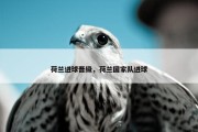 荷兰进球晋级，荷兰国家队进球