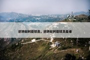 逆转叙利亚球员，逆转叙利亚球员是谁