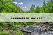 森纳客场球衣复古搭配，森纳什么意思