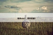球衣one？ 球衣定制？