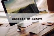 武磊西甲踢多久一场？ 武磊进西甲？