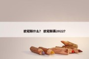 欧冠联什么？ 欧冠联赛2022？