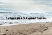 森纳被曼联踢废球员（效力过曼联和阿森纳的球员）