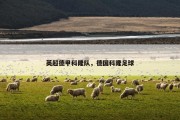 英超德甲科隆队，德国科隆足球