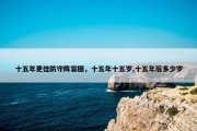 十五年更佳防守阵容图，十五年十五岁,十五年后多少岁