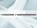 广东可容纳足球场地（广东省体育场足球场免费开放吗）