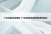 广东可容纳足球场地（广东省体育场足球场免费开放吗）