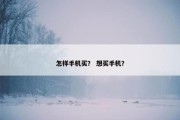 怎样手机买？ 想买手机？