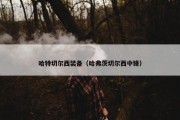 哈特切尔西装备（哈弗茨切尔西中锋）