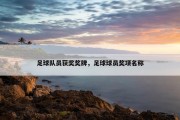 足球队员获奖奖牌，足球球员奖项名称