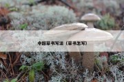 中超草书写法（草书怎写）