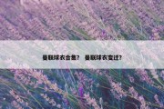 曼联球衣合集？ 曼联球衣变迁？