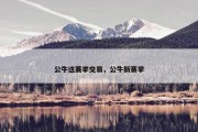 公牛这赛季交易，公牛新赛季