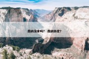 森纳没拿吗？ 森纳协定？