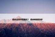 森纳点球夺冠图片？ 森纳映画是谁？